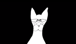 Moth by Keith Del Principe